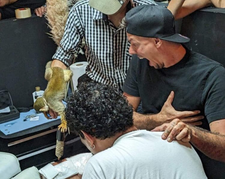 Обезьяна-татуировщик — новый эксперимент Фанки Матаса